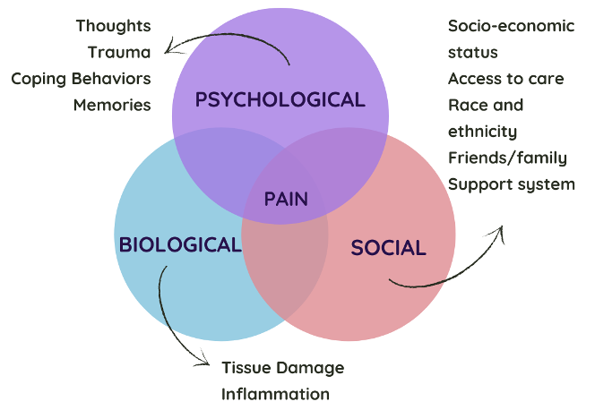 Venn diagram with psychosicial, social, and biological as three circles. Pain is in the overlapping part.